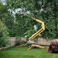 Fresno, CA Tree Services Company