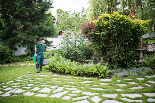 Best Lawn Renovation and Restoration  in Fresno, CA